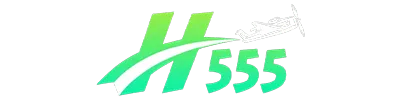 H555